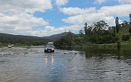 05-Dora enjoying the Snowy River